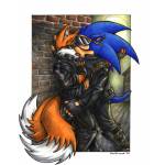 Commission__Evil_Sonic___Tails_by_souldreamx.jpg